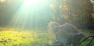 Ordinanza 112: Foto di una carriola durante pulizia erbacce