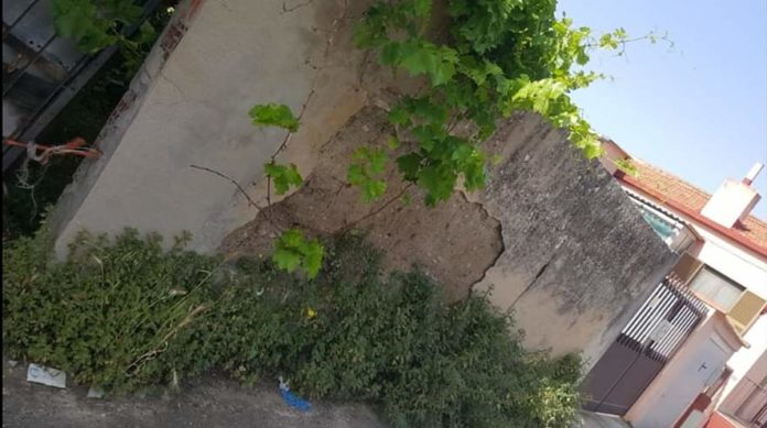 Cortoghiana