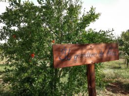 Anniversario Albeschida Albeschida - Il giardino di Alice