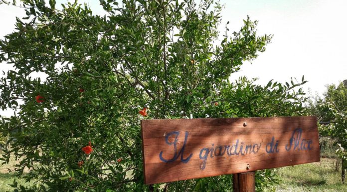 Albeschida - Il giardino di Alice